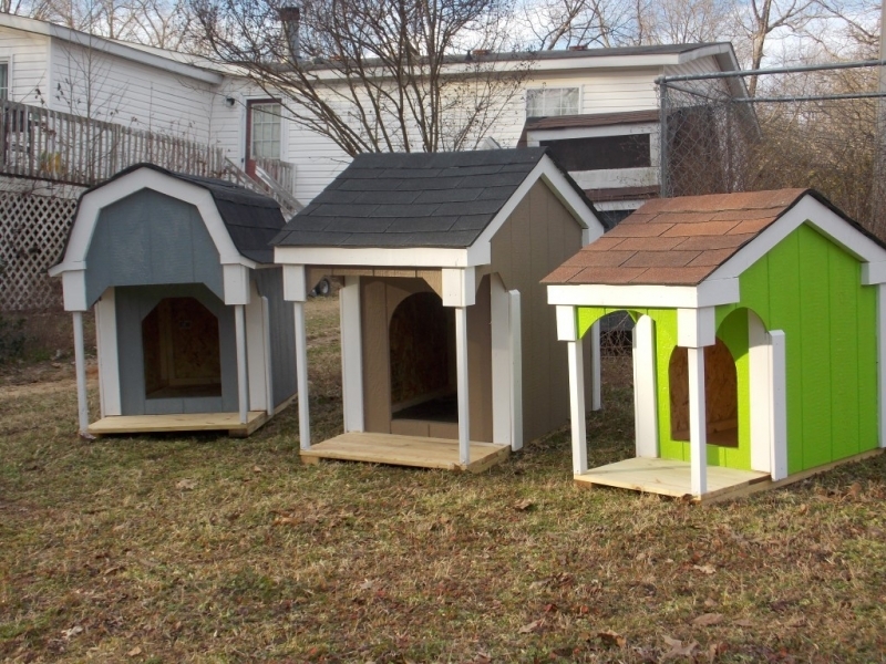 New painted doghouses 003