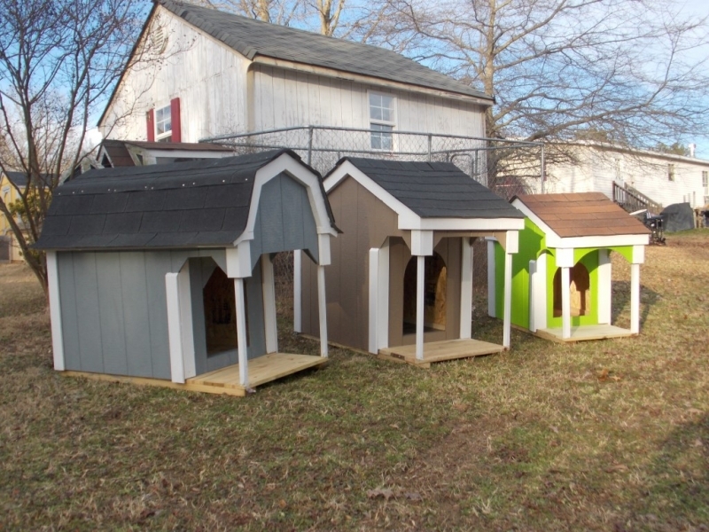 New painted doghouses 004