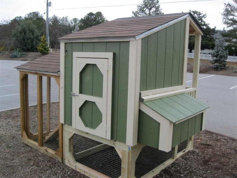Western coop with a porch and swing
